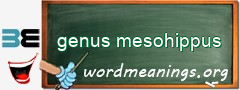 WordMeaning blackboard for genus mesohippus